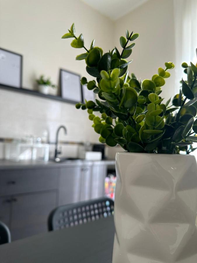 Diverso Apartment Caiazzo Εξωτερικό φωτογραφία
